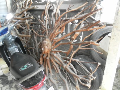 SAMSUNG DIGITAL CAMERA