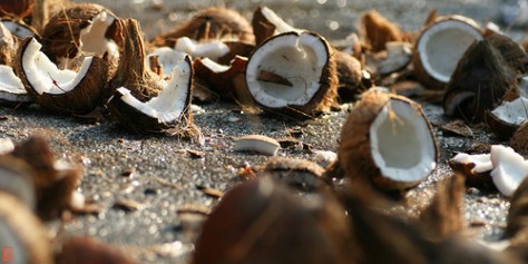 3304358855_5657264e7a