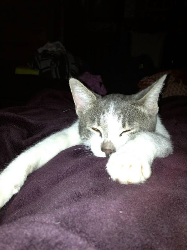 1000629_10201370353194920_1116345017_n