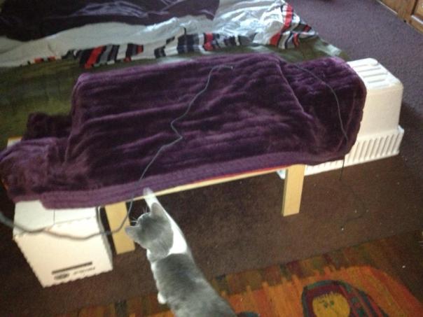 1419770_10201407295758461_932559025_n