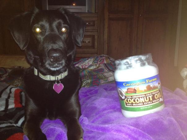 73362_10200205801681860_1424973169_n