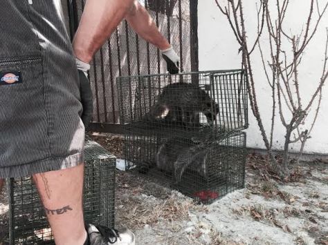 mother child reunion